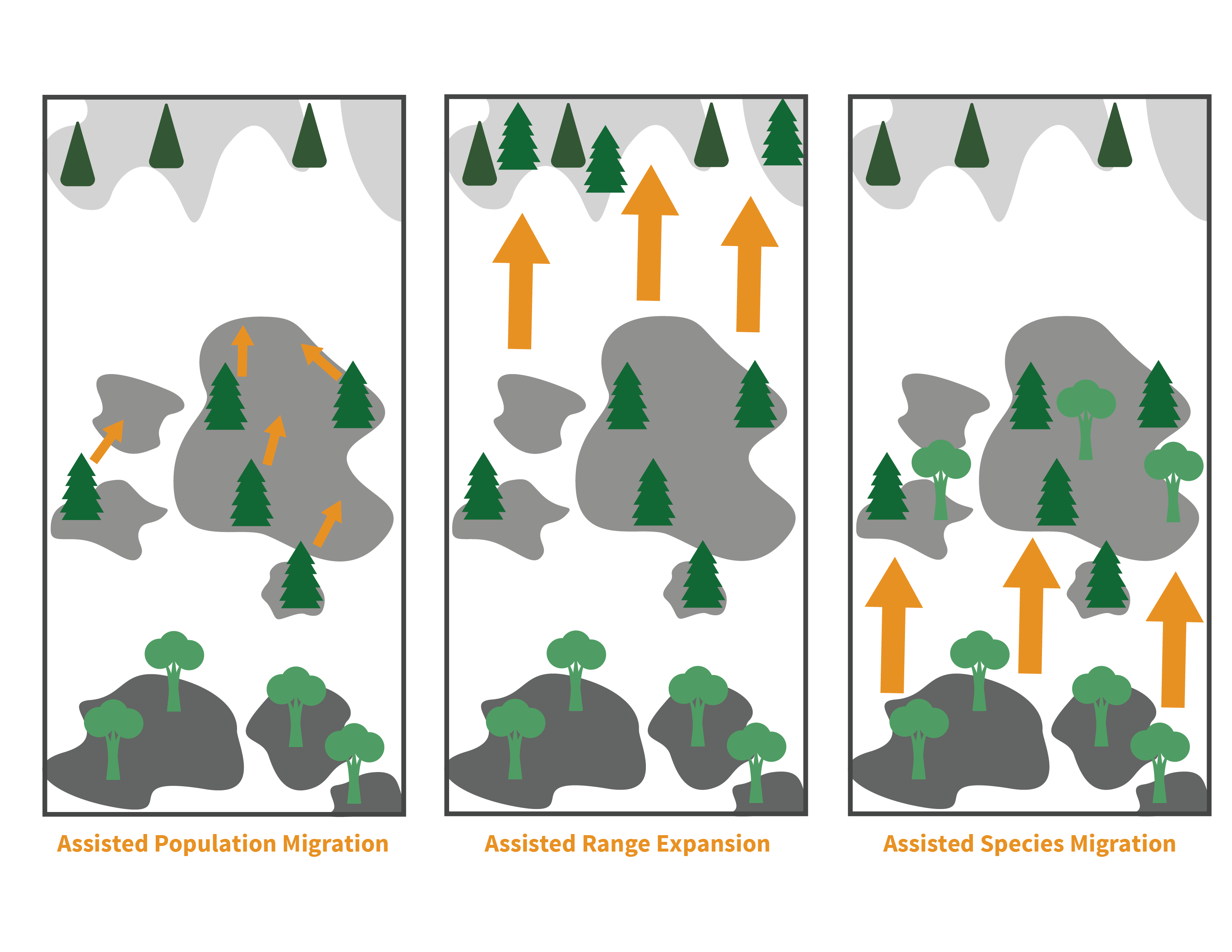 Assisted migration