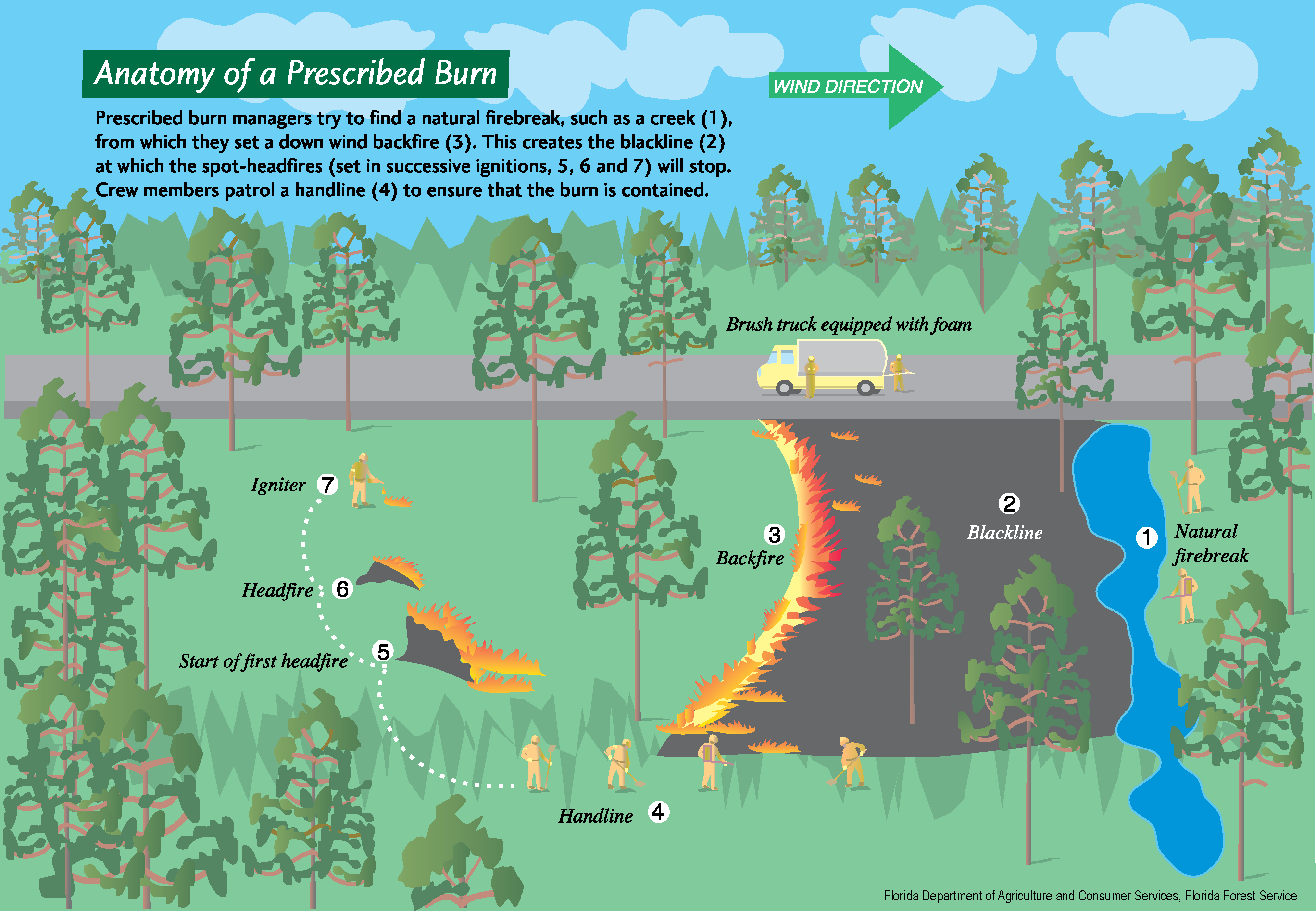 An infographic about conducting a prescribed burn.