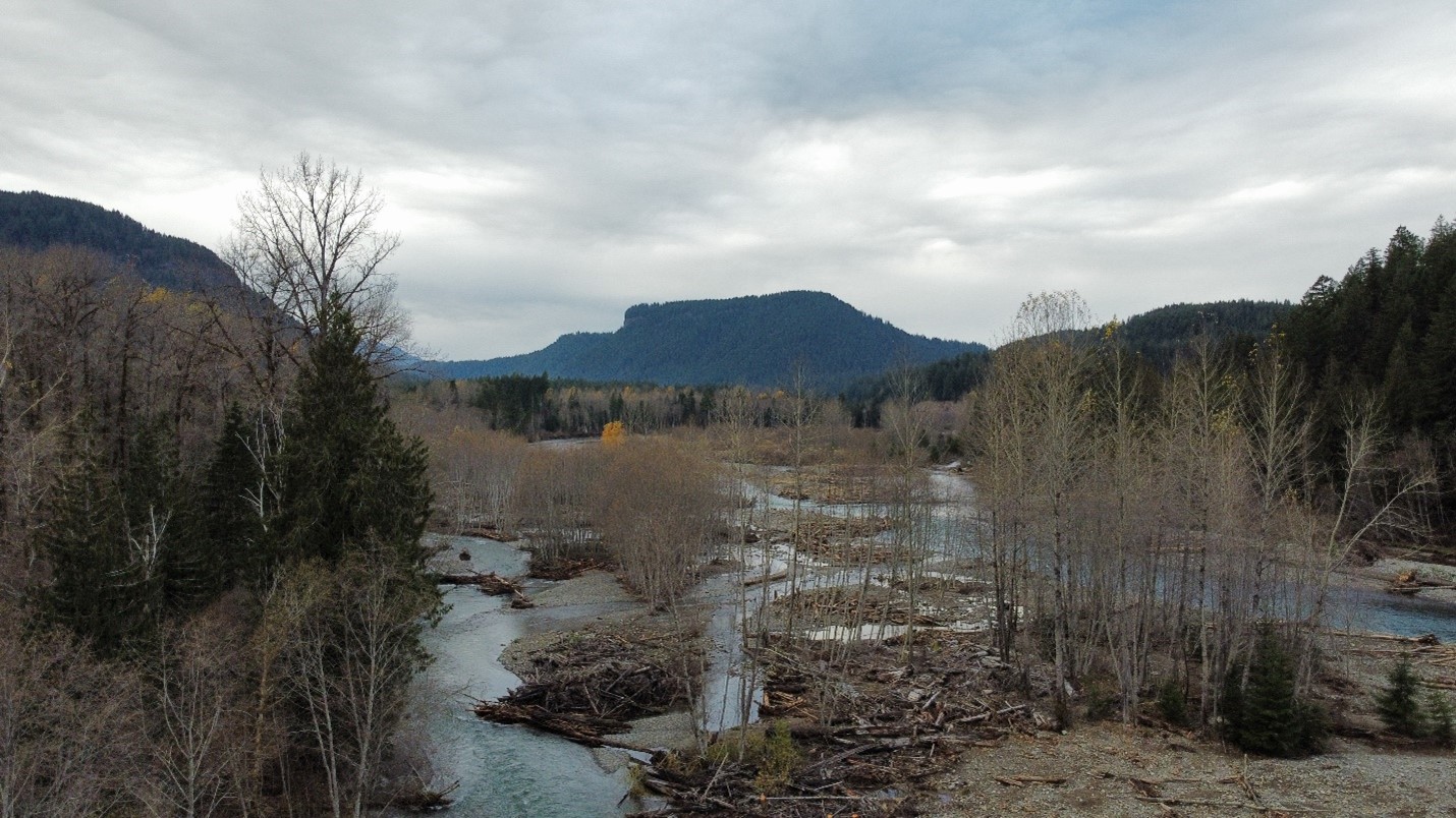 a panoramic shot of a river with channels that cut through parts of the floodplain