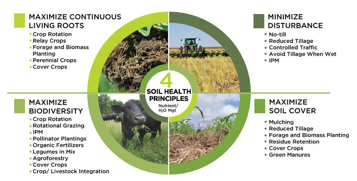 Healthy soil management