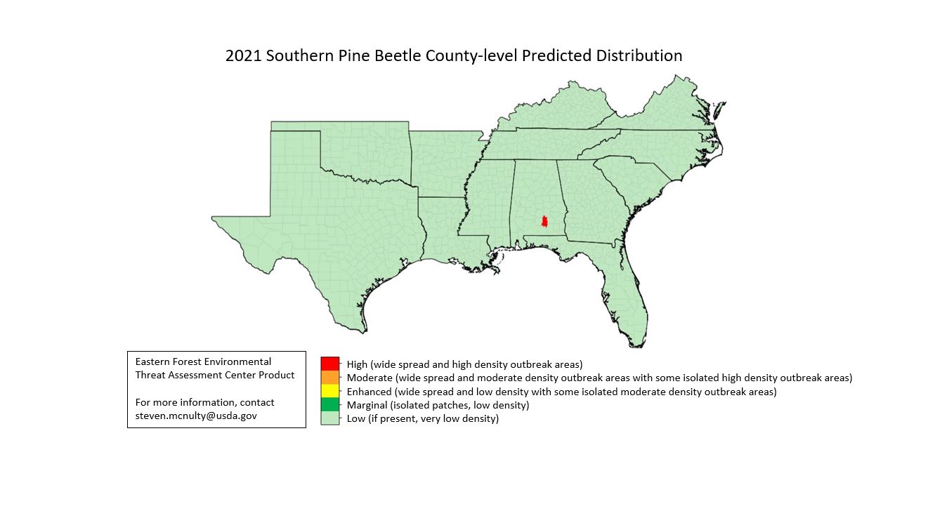 2021 southern pine beetle spring outbreak forecast
