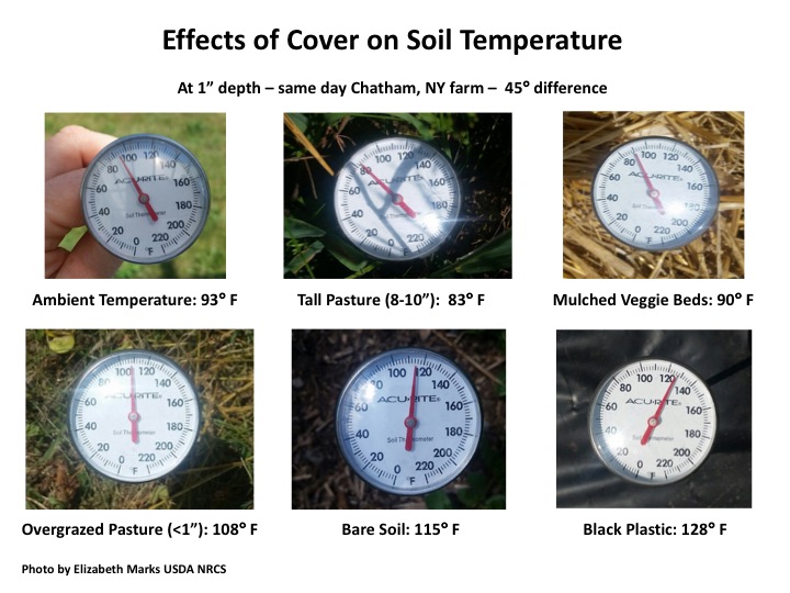 soil temperatures