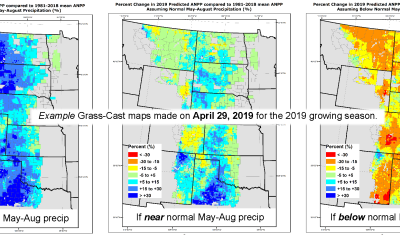 An example set of 3 Grass-Cast maps showing what conditions would be if the precipitation received from the date that the maps were created and August 31st is above, near, or below normal, and approximatley what the grassland production in an area would be by percent compared to its 38-year average.
