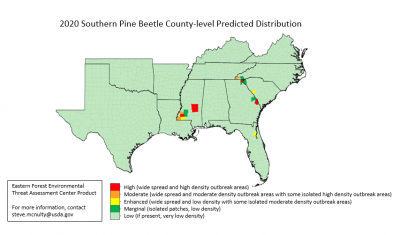 2020 southern pine beetle predicted distribution and severity map from the new USDA Forest Service Southern Pine Beetle Outbreak Model forecasting the level of southern pine beetle risk in all southeast US counties