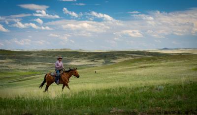 Riding on horseback, Travis Brown, owner of LO Cattle Company, enjoys the healthy grazing pastures and rangeland. Photo taken June 19, 2019 at the LO Cattle Company located in Sand Springs, MT in Garfield County.