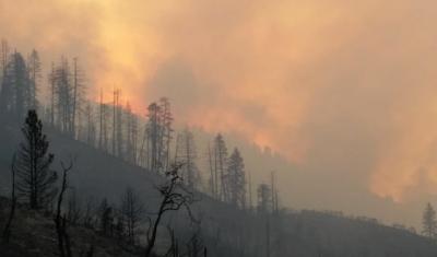 The Rough Fire near Hume Lake in the Sierra National Forest 