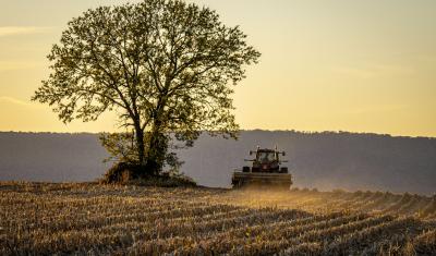 A tractor moves through a no-till field at sunset.