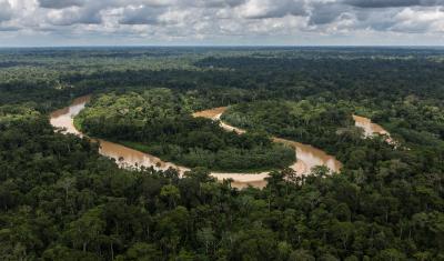 The Amazon River winds through the rainforest in Peru.