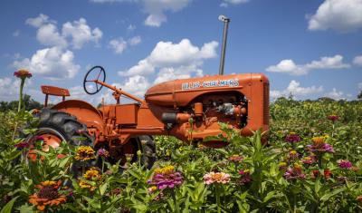 Flowers and Tractor