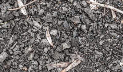 An image of biochar - a charcoal-like substance.
