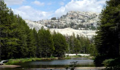 A small alpine lake in the Sierra surrounded by trees