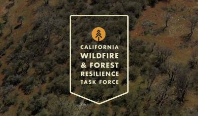 The California Wildfire and Forest Resilience Task Force logo backdropped by an aerial photo of a conifer forest.