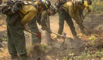 Firefighters dig line to prevent the spread of wildfire.