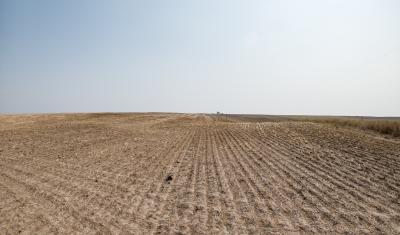 A dry field.