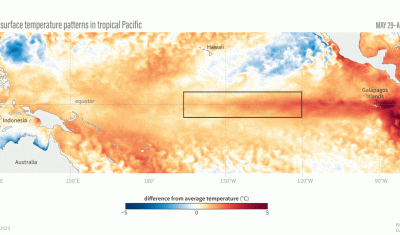 A graphic of ocean temperatures in the Pacific during the 2023 El Nino.
