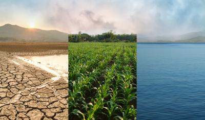 Three pictures: dry land cracked, healthy green corn rows, blue lake water