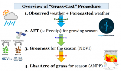 Overview of Grass-Cast Procedure