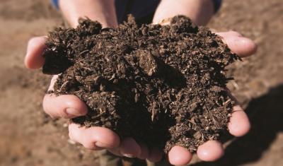 A pair of hands holding a pile of soil