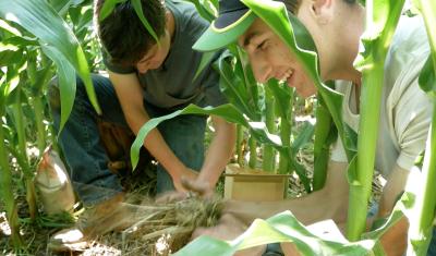 Interns at Harborview Farms collect biomass samples in Rock Hall, MD.