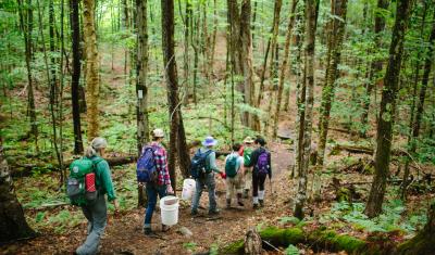 A citizen science volunteer group sets out on sugar maple regeneration project. Photo by Emily Lord.