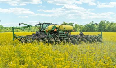 A no-till planter moves through a field of blooming, yellow canola with trees in the background.