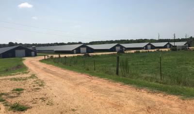 SE MS beef and poultry farm