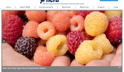 Screenshot of NERA Homepage