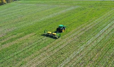 A tractor towing a planter across a field with cover crops