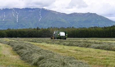 Rows of hay with a tractor bailing and mountains in the background.
