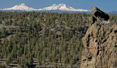 Three Sisters in Oregon showing a rock outcropping, forest, and snow covered mountains in the distance