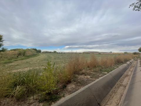 Concrete irrigation ditch next to agricultural fields on the Santa Ana Pueblo
