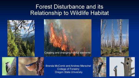 Title slide for Forest Disturbance and its Relationship to Wildlife Habitat presentation