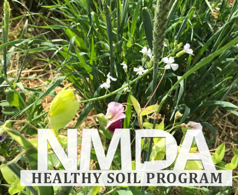 Picture of cover crops with NMDA logo