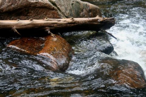 close up of a stream
