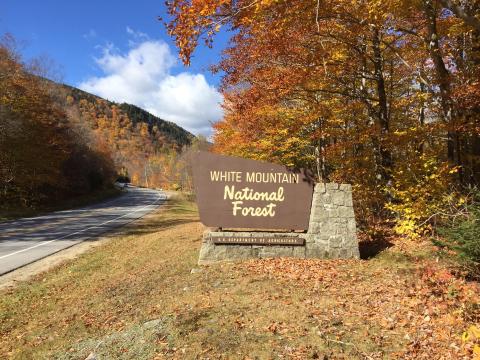 Road portal sign for the White Mountain National Forest