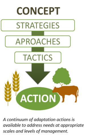Concept to action adaptation for agriculture
