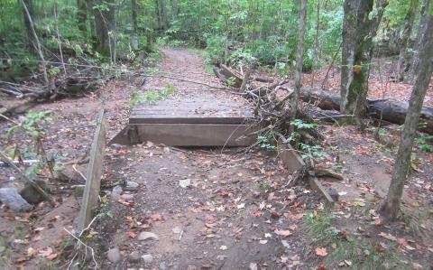 bridge in floodplain