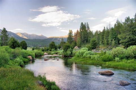 The Carson River nears its source in the Sierra Nevada mountains