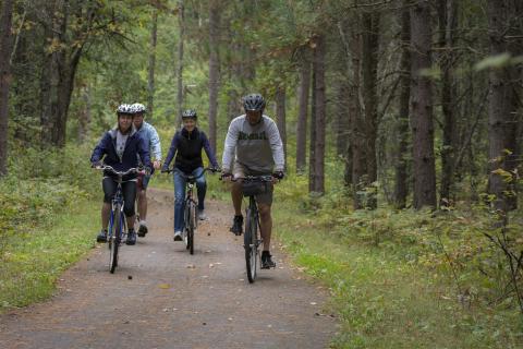 mountain bikers on a path in the woods