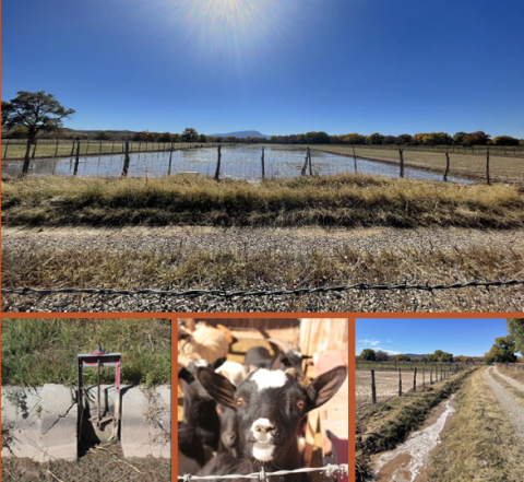 A compilation of pictures showing an irrigated field, a gate in an irrigation ditch, some goats, and an irrigation ditch