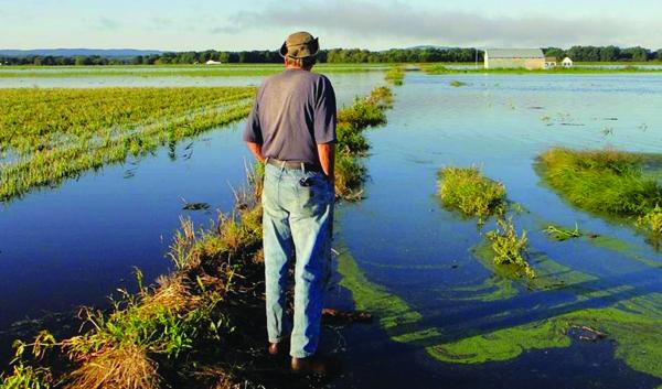 farmer stands in flooded field