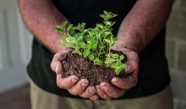 US veteran holds soil and plants