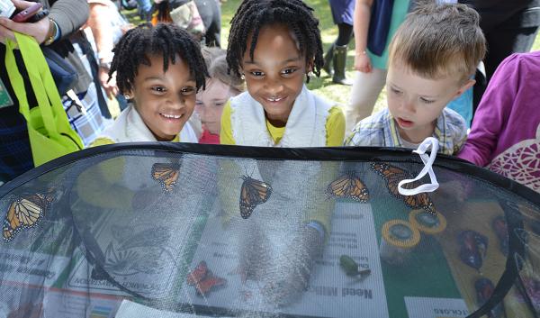  Children are able to get a close-up view of monarch butterflies at the Monarch Watch display of monarch butterflies, larvae (caterpillars), interactive toys and informational posters, during the 138th White House Easter Egg Roll. USDA Photo by Lance Cheung