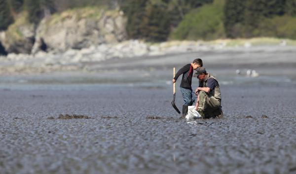 A parent and child on a flat, muddy beach. The child holds a shovel and they have a white bag sitting in front of them. Around them are small holes