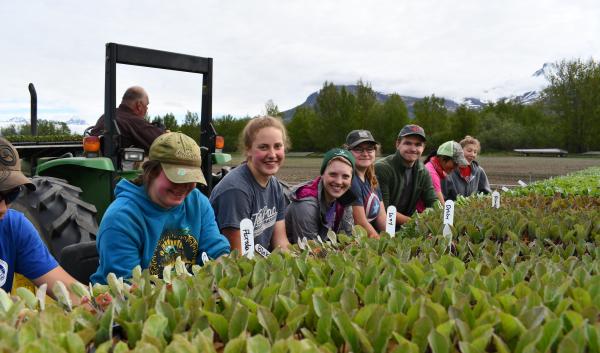 Students sit behind seedlings on a farm in Alaska