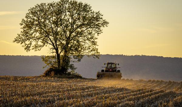 A tractor moves through a no-till field at sunset.