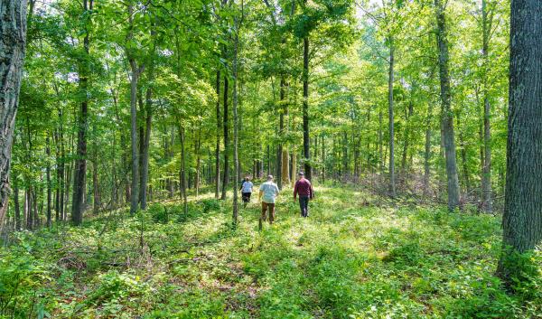 through NRCS’ Conservation Stewardship Program, family aims to complete herbaceous weed treatment, help facilitate oak forest regeneration, and plant conservation cover for pollinators and beneficial insects.