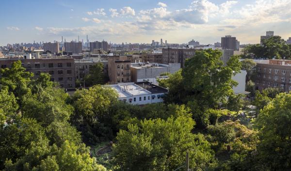 Taqwa Community Farm is a half-acre park operated as a community garden in the Highbridge neighborhood, which is considered a food desert of the Bronx, New York City.  (USDA/FPAC photo by Preston Keres)