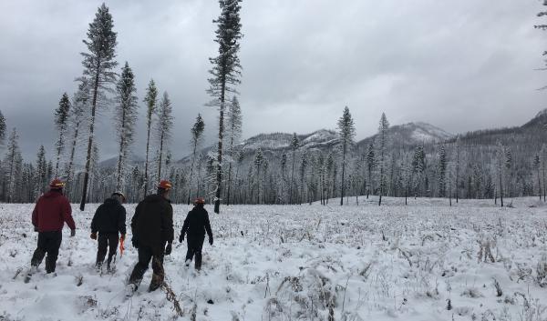 Researchers walk through snow in front of forested mountains