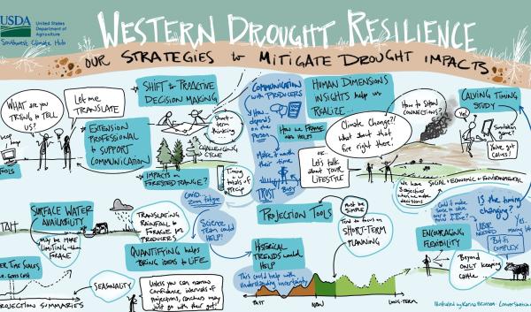 Strategies to mitigate drought impacts